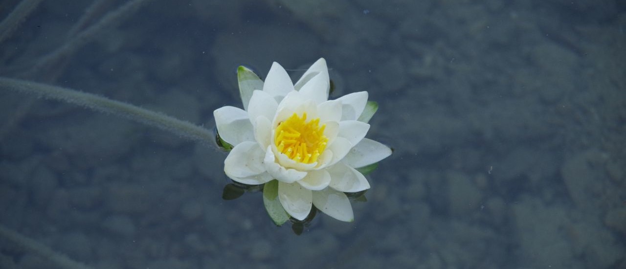 Einladung zur Hauptversammlung 2026